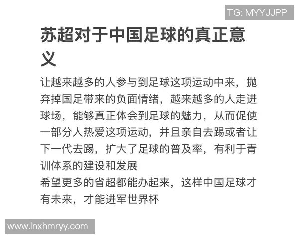 女生对足球明星的热爱与追星文化的深度剖析与探讨