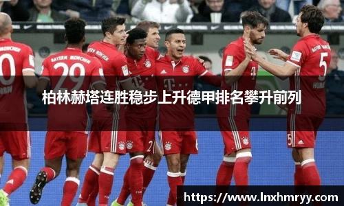 mk体育