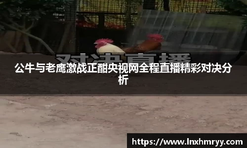 公牛与老鹰激战正酣央视网全程直播精彩对决分析