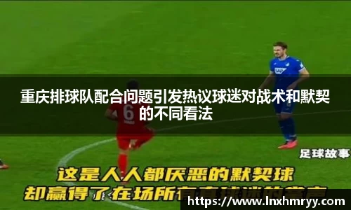 mk体育